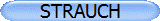 STRAUCH