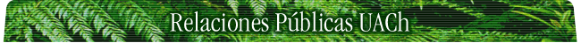 index-r2_c1.gif (27488 bytes)
