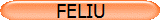 FELIU