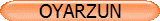 OYARZUN