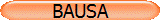 BAUSA