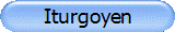 Iturgoyen