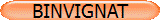 BINVIGNAT