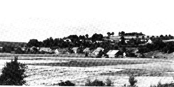 Waldhausen1.jpg (55328 bytes)