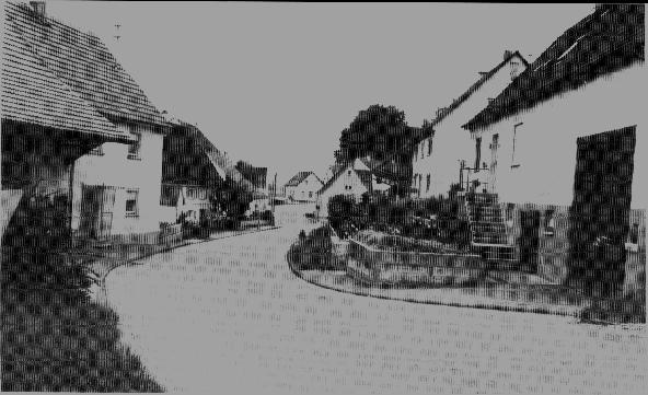 Waldhausen2.jpg (42686 bytes)