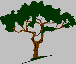 tree.gif (3210 bytes)